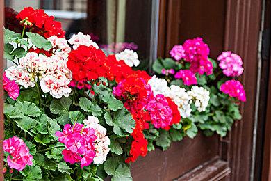 NBA球星杜兰特即将加入《使命召唤19》和《战区2》